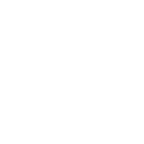 Carter API Tester